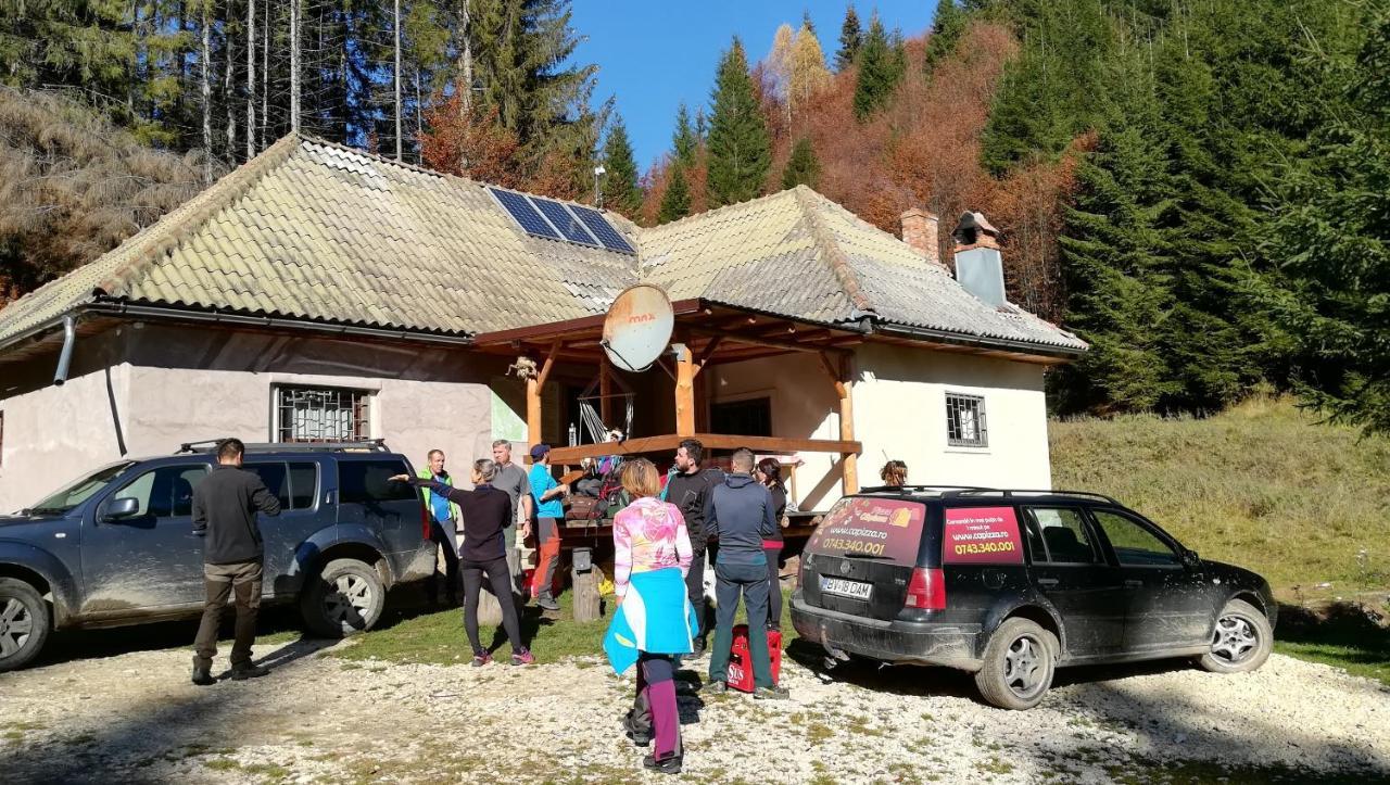 Cabana Pietricica Dîmbovicioara Екстериор снимка