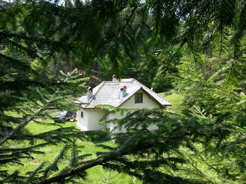 Cabana Pietricica Dîmbovicioara Екстериор снимка