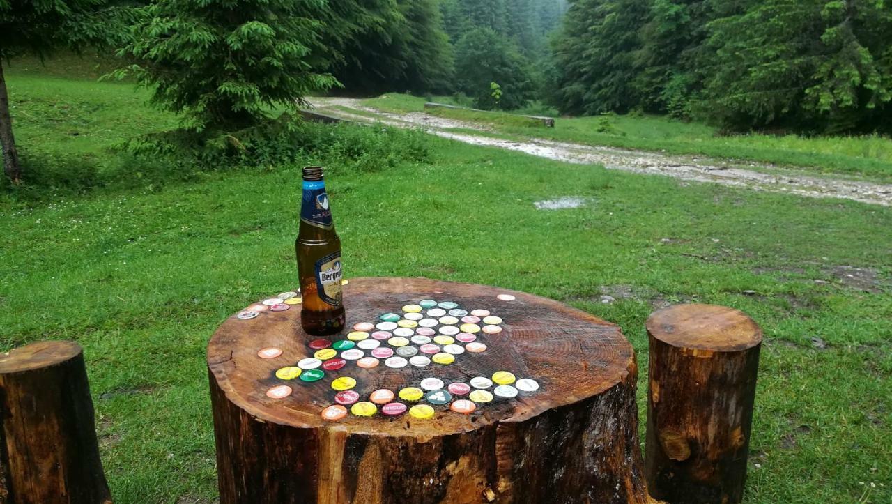 Cabana Pietricica Dîmbovicioara Екстериор снимка