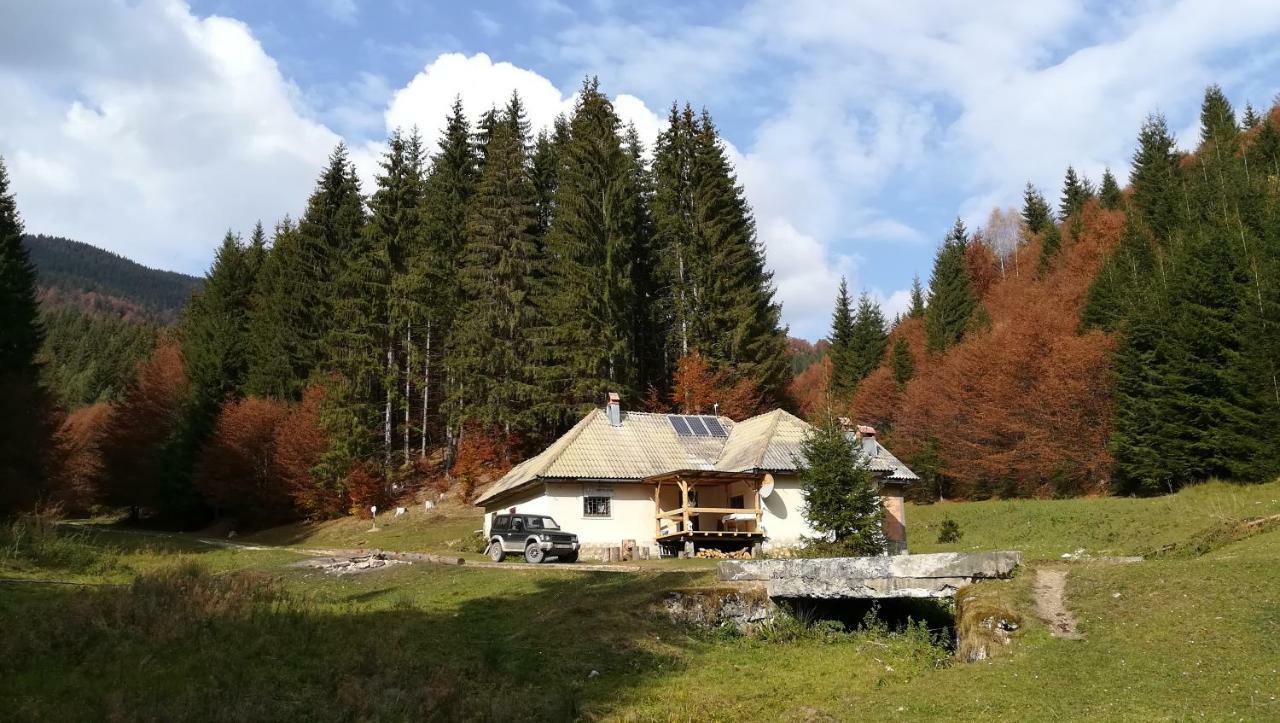 Cabana Pietricica Dîmbovicioara Екстериор снимка