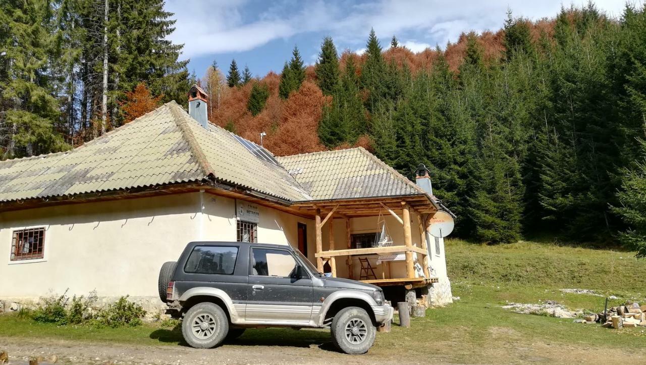 Cabana Pietricica Dîmbovicioara Екстериор снимка