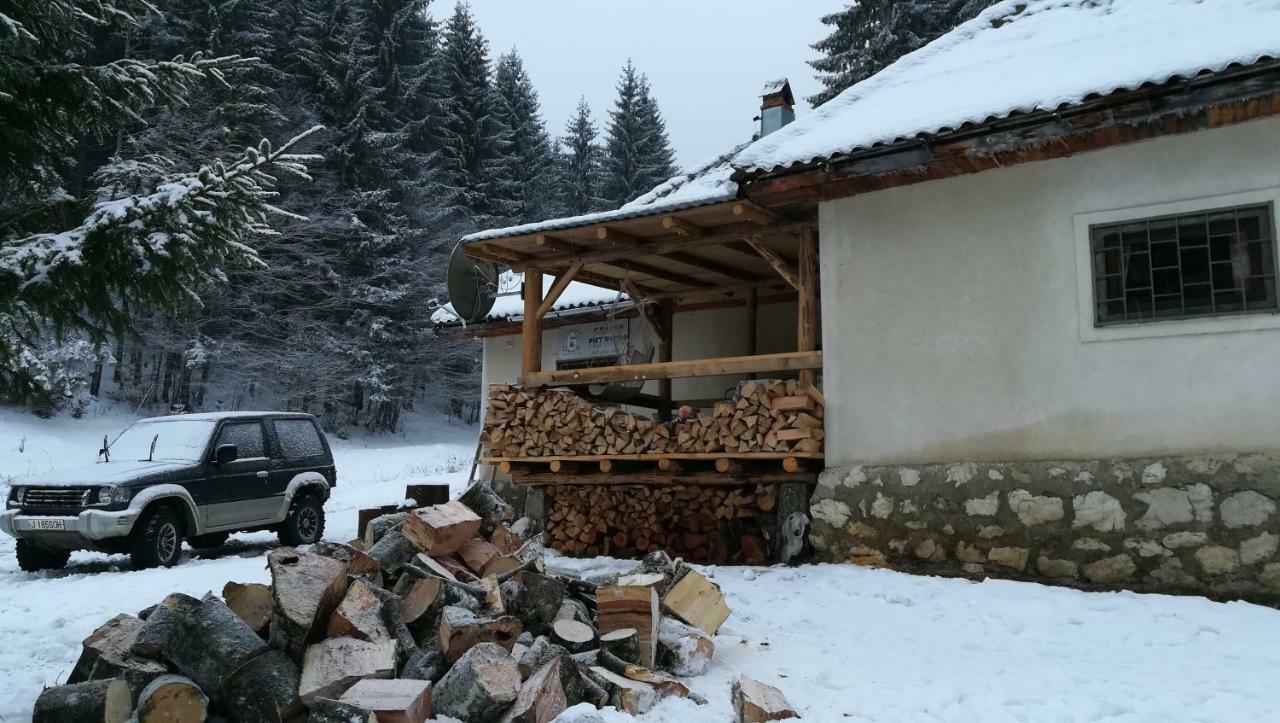 Cabana Pietricica Dîmbovicioara Екстериор снимка
