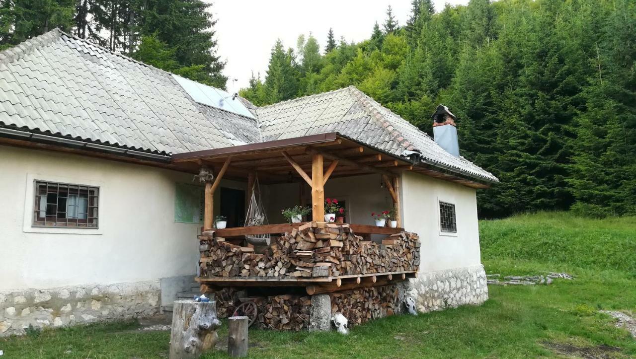 Cabana Pietricica Dîmbovicioara Екстериор снимка