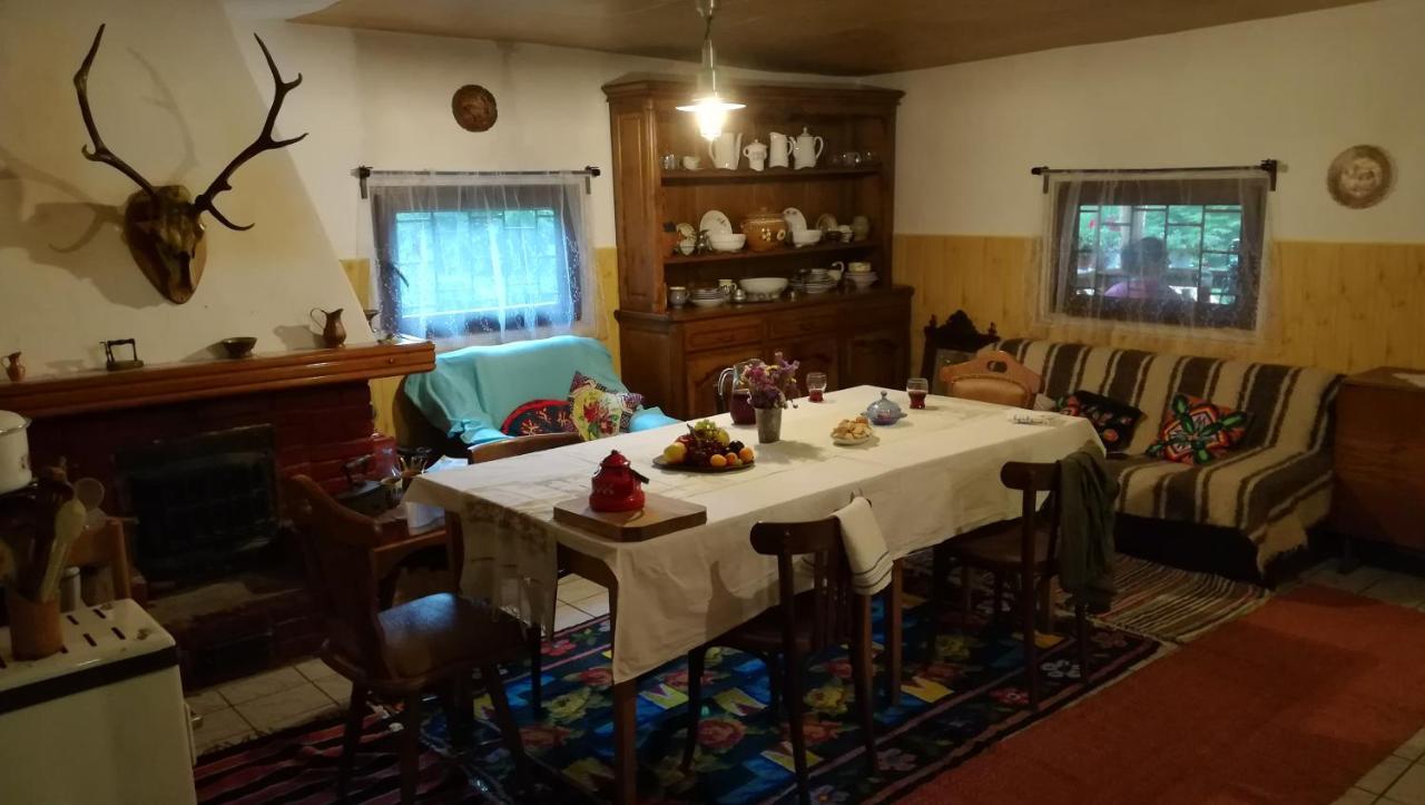 Cabana Pietricica Dîmbovicioara Екстериор снимка