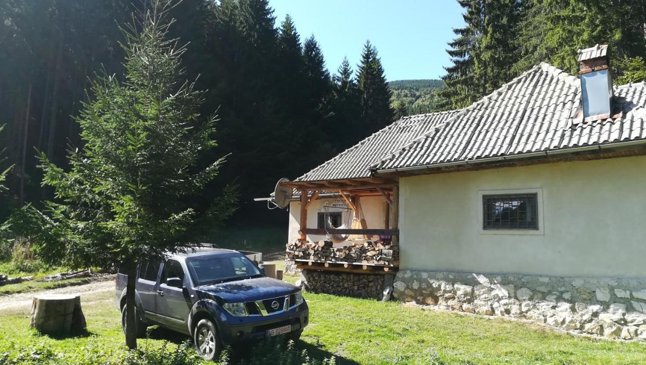 Cabana Pietricica Dîmbovicioara Екстериор снимка
